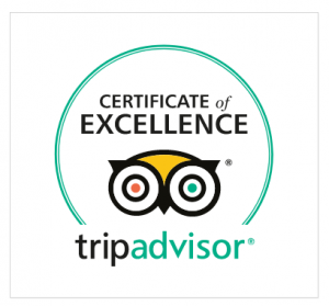 Certificate of Excellence 2017